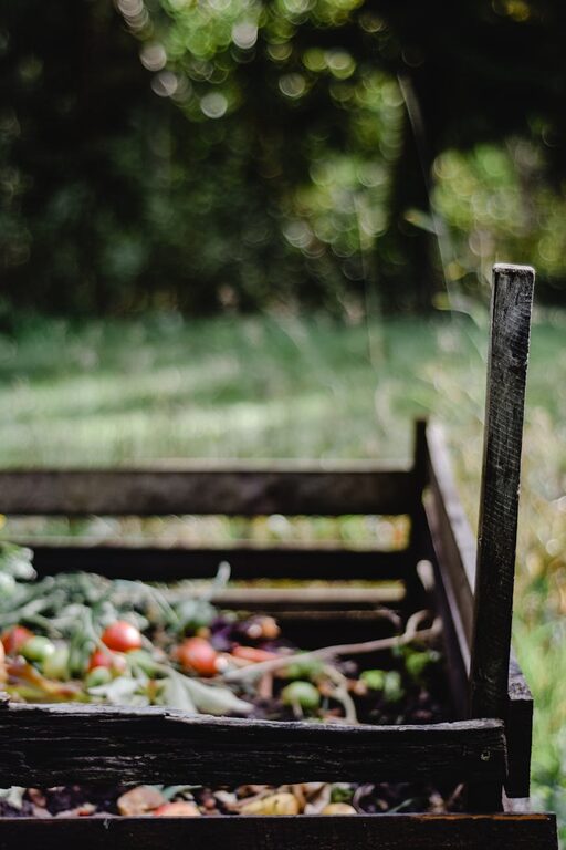 Beginner Tips for Composting at Home: A Simple Guide to Getting Started